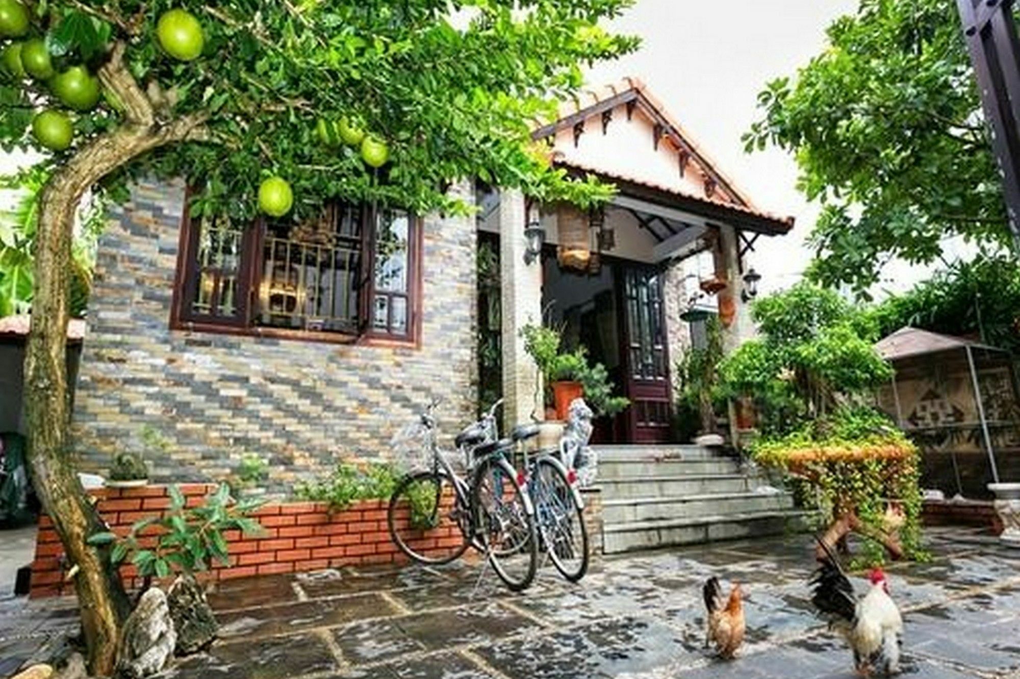 Bonsai Villa Хой Ан Екстериор снимка