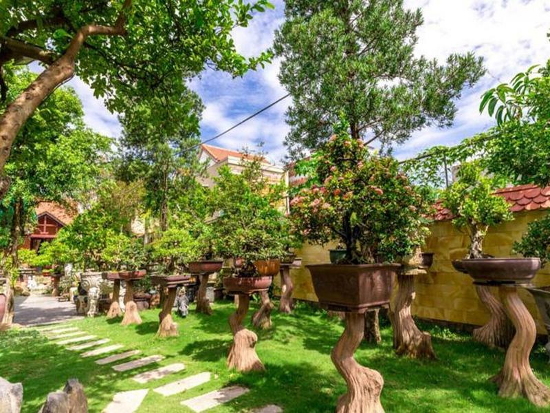 Bonsai Villa Хой Ан Екстериор снимка